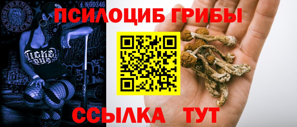Валуйки  Псилоцибиновые грибы Psilocybe  Вход с VPN 